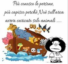 Pin di Marianna B71 su ❤️Perle di saggezza e piccoli sorrisi | Immagini  divertenti, Citazioni, Immagini
