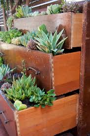The stones in the picture above are a sandy and. Top 10 Diy Outdoor Succulent Garden Ideas