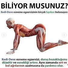 1194 Begenme 39 Yorum Instagramda Kadina Dair Umur Bilgili Kadinlar R Fitness Exercise 2020 Saglik Egzersiz Pilates Egzersizleri