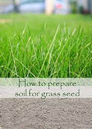 The Right Way To Prepare Your Soil To Plant Grass Seed Growing Grass Planting Grass Seed Planting Grass