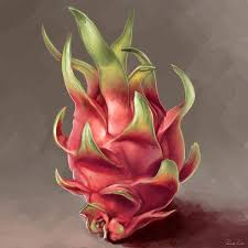 Dragon Fruit Painting Google Search Fruit Artwork Fruit Painting Art Fruits Drawing Find & download free graphic resources for dragon fruit. pinterest