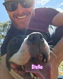 The Spartan Sanctuary Animal Transport LLC