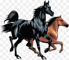 Maybe you would like to learn more about one of these? Horse Show Png Images Pngwing