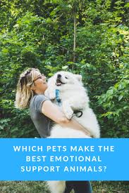 Which Pets Make The Best Emotional Support Animals Emotional Support Animal Emotional Support Therapy Dogs