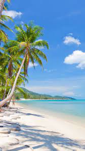 Sky Sea Nature Beautiful Sand Clouds Tropical Tropical Beach Landscape Coconut Palm Beach Scenery Beautiful Beach Pictures Beautiful Beaches Paradise