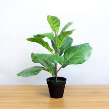 Different kinds of plants with names. China Different Kinds Amazing Big Artificial Plants For Shopping Malls Decoration China Artificial Potted Plants And Potted Plant Price