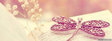 pink butterfly and flowers facebook covers photo de couverture facebook couverture facebook photo de couverture facebook cover cover photos pink butterfly
