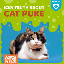 Every cat develops a hairball occasionally, but repeated hairballs can be a sign of a problem. Cat Vomiting Causes And Clean Up Tips Cats Cat Care Cat Training Scratching