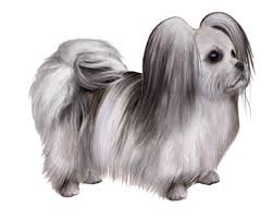 Edwardlsmith uk, united kingdom common. Mi Ki Facts Wisdom Panel Dog Breeds