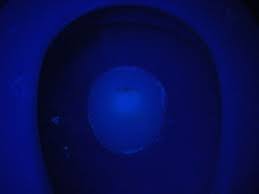 List Of Things That Glow Under Black Light