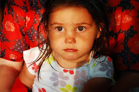 Alicia Feuling Photography