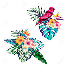 Modern exotic jungle fruits and plants illustration in vector. Tropical Collection With Exotic Flowers And Leaves Vector Design Isolated Elements On The White Tropical Flowers And Parrot Summer Background With Tropical Flowers Royalty Free Cliparts Vectors And Stock Illustration Image 114776489