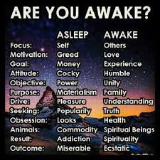 Or Are You Sleeping I Like To Call Them Sleepwalkers Spirituality Awakening Quotes Awakening
