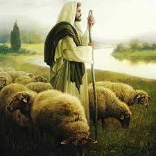 También ofrecemos servicios bilingües combinados durante el año. Oracion A Jesus El Buen Pastor By Pildoras De Fe