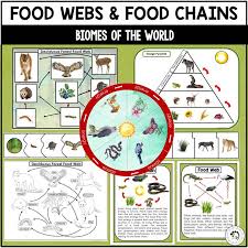Food Chains And Food Webs Of Biomes Nature Curriculum In Cards
