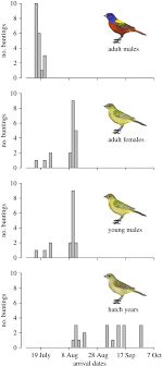 Maybe you would like to learn more about one of these? Despotic Aggression In Pre Moulting Painted Buntings Royal Society Open Science