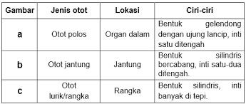 Posisikan pasien di atas timbangan b. Perhatikan Gambar Ketiga Jenis Otot Manusia Beriku