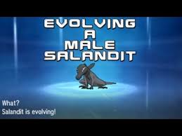 Evolving A Male Salandit In Pokemon Sun And Moon Youtube