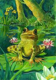 Pin By Christine Scull On Sweet Things Frog Art Frog Illustration Frog Pictures