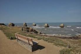 Les Cinq Pineaux Saint Hilaire De Riez Vendee Saint Hilaire De Riez Saint Hilaire Saint Jean De Monts