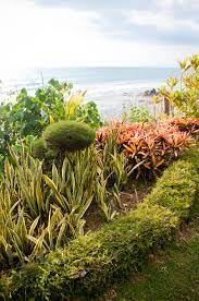 Garden by the sea description of features and infrastructure. Free Photo Beautiful Gardens By The Sea Garden Landscape Nature Free Download Jooinn