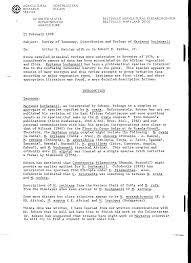 Image result for Hippocratea buchananii