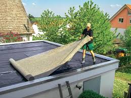 Dachbegrunung Tipps Zur Anlage Und Pflege Das Haus Dachbegrunung Flachdach Begrunung Gartendach