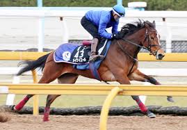 ほうずきみたいに紅い魂 ⅱ ルーネイトエルフ ⅲ 上海紅茶館 ～ chinese tea ⅳ ヴワル魔法図書館 ／ ラクトガール ～ 少女密室 ⅴ メイドと血の懐中時計 ／ 月時計 ～ ル. ãƒãƒ¥ãƒ¼ãƒªãƒƒãƒ—è³ž å‰æ—¥æƒ…å ± ãƒ¡ã‚¤ã‚±ã‚¤ã‚¨ãƒ¼ãƒ«ã®æ­¦è‹±èª¿æ•™å¸« å‹ã¦ã‚‹ã¨æ€ã£ã¦ã„ã‚‹ãŒ çµæžœã‚ˆã‚Šã‚‚å†…å®¹é‡è¦– ã‚¹ãƒãƒ¼ãƒ„å ±çŸ¥