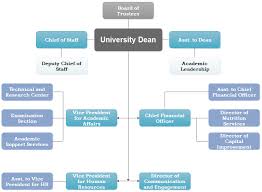 administrative structure of university