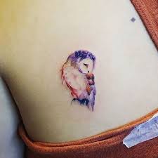 Black outline small owl tattoo on right behind the ear. 21 Small Owl Tattoo Ideas For Women Styleoholic