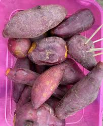 Dia juga menggalakkan petani agar mengamalkan tanam bergilir (crop rotation). Ahmad B Maslan On Twitter Bangsausahawan Mohd Azizan 0197887107 Tanam Keledek Anggun Benih Mardi Di Kpg Gsa Pt Mokhyat Ayerbaloi Pontian Beliau Juga Tanam Pisang Rastali Berangan Sblm Ini Dia Kerja