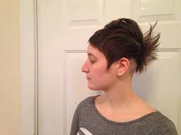 Strange Hairstyles And Funny Stories Weird Pictures