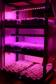 Specifically, they have combinations of blues and reds, boasting a finely tuned plant spectrum. 60w 30 Dimmable Led Grow Light Led Grow Lights Grow Lights Led Grow