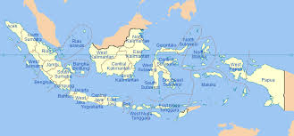 Check spelling or type a new query. Programm Indonesien Turtle Foundation