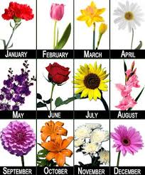 Two of the most popular are birth flowers and birthstones, which are supposed to symbolize the month of your birth and carry with them symbolic meaning. Birth Month Flowers Flower Club 12 Months Florist In Richmond Virginia Vogue Flowers Tattoos Birth Flower Tattoos Birth Flowers Birth Month Flo