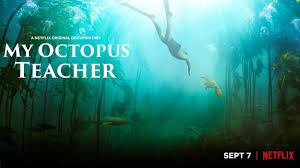 A filmmaker forges an unusual friendship with an octopus living in a south african kelp forest, learning. Netflix S My Octopus Teacher Review In Nature Is A Friend You Yearn For