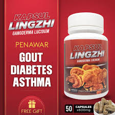 Pesakit diabetes jenis 2 yang memerlukan suntikan insulin biasanya anda tidak boleh mengabaikan kencing manis, tetapi anda tidak boleh menjadikannya sebagai satu aspek dalam keseluruhan hubungan anda. Lingzhi Cendawan Merah Ubat Sakit Sendi Gout Sakit Saraf Sakit Lutut Rawat Kencing Manis Gift Shopee Malaysia