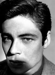 Benicio del Toro