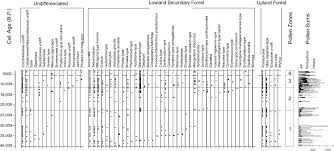 Image result for Scytopetalum pierreanum