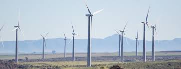 Image result for Eureiandra eburnea