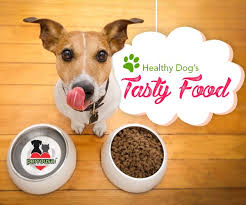 The pet store market in the united states is a highly concentrated industry with two companies, petsmart and petco, accounting for nearly half of the market in 2019. Enhance Your Dog S Health With Nutritious Perrousa Petfood Check For The Dogfood Menu Www Perrousa Com Dog Category Dog Food Recipes Food Suppliers Food