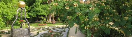 Hallo, ich bin sowohl neuling hier im forum als auch neuling in bezug auf garten und bräuchte eine kurze info. Gernsbach De Katz Scher Garten