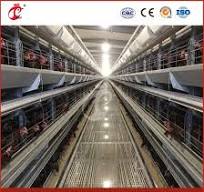 Bestchickencage H Type Breeder Cage Layer Cage China Open-Air Chicken Layer  Coop Factory OEM Custom Felt Material Poultry Farm Layer Cage Sample