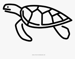 Baby honu's incredible journey sea turtle. Sea Turtle Coloring Page Coloring Book Hd Png Download Transparent Png Image Pngitem