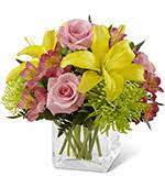 We did not find results for: Flowers To Jupiter Florida Fl Wedding Banquet And Reception Halls Same Day Delivery By A Local Florist In Jupiter