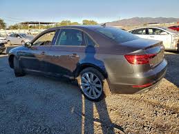 Image result for Argus Brown 2017 A4