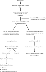 Frontiers Environmental Monitoring Of Waterborne