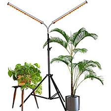 Similarly, incorrect light placement will also not allow plants to grow to their full potential. Amazon Com Led Grow Light Aceple Two Heads Gooseneck 60w Floor Lamp Easy To Use For Growing Indoor Hydropo Led Grow Lights Grow Lights Best Led Grow Lights