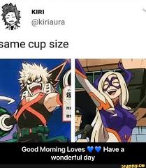 Good Morning Loves Wonderful Day Good Morning Loves Have A Wonderful Day Ifunny My Hero Academia Memes My Hero Hero Academia Characters