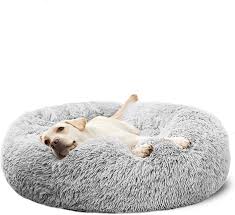 Shop chewy for the best, durable dog beds and mats! Puppy Dog Beds Online Discount Shop For Electronics Apparel Toys Books Games Computers Shoes Jewelry Watches Baby Products Sports Outdoors Office Products Bed Bath Furniture Tools Hardware Automotive Parts